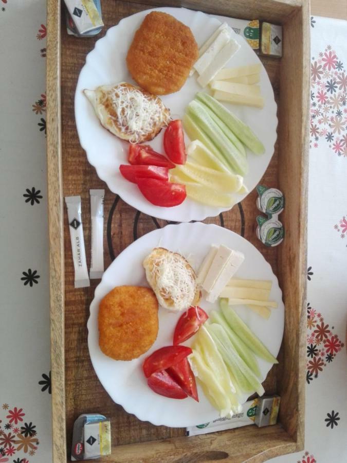 Casa 193 Motorcycle Friends Bed & Breakfast Sibiu Ngoại thất bức ảnh